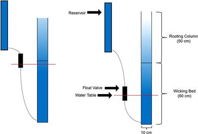 A novel method for irrigating plants, tracking water use, and imposing water deficits in controlled environments